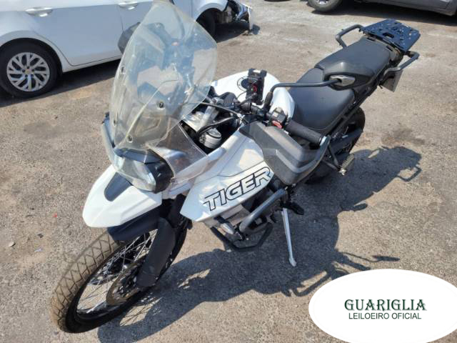 TRIUMPH TIGER 20/20